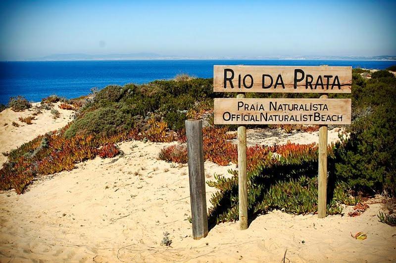 Moradia Da Bananeira Βίλα Lagoa de Albufeira Εξωτερικό φωτογραφία